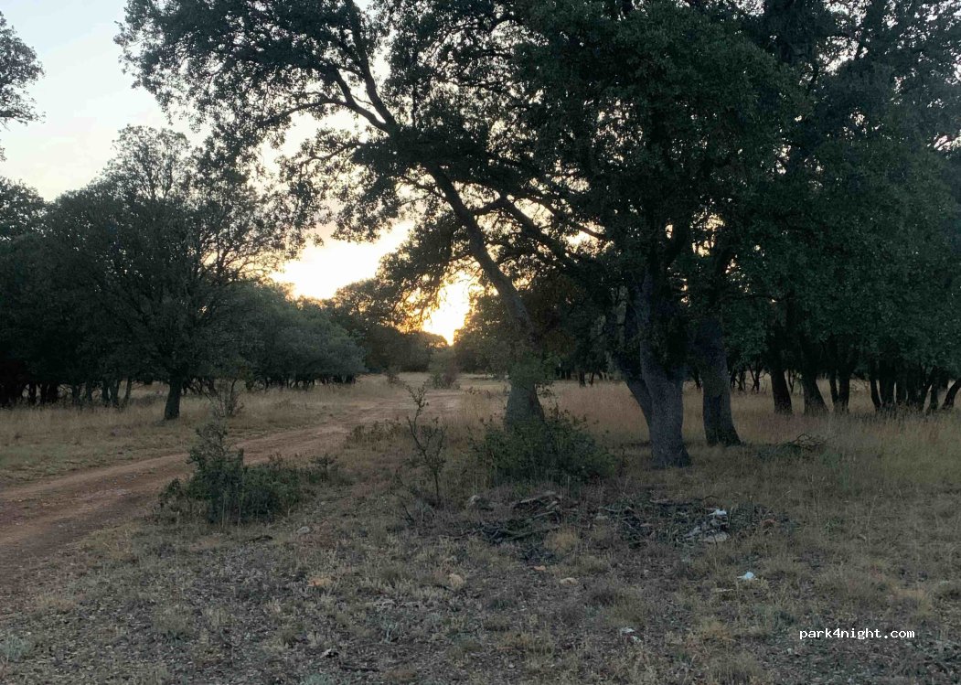 (42213) Alcubilla de las Peñas - SO-132 — foto 4