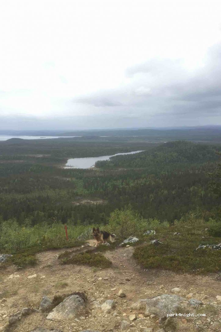 (99870) Inari - Unnamed Road — foto 2