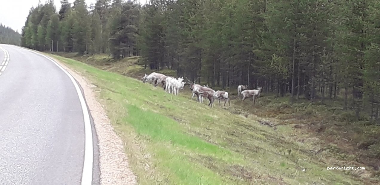 (99870) Inari - 2288 Inarijärventie — foto 3