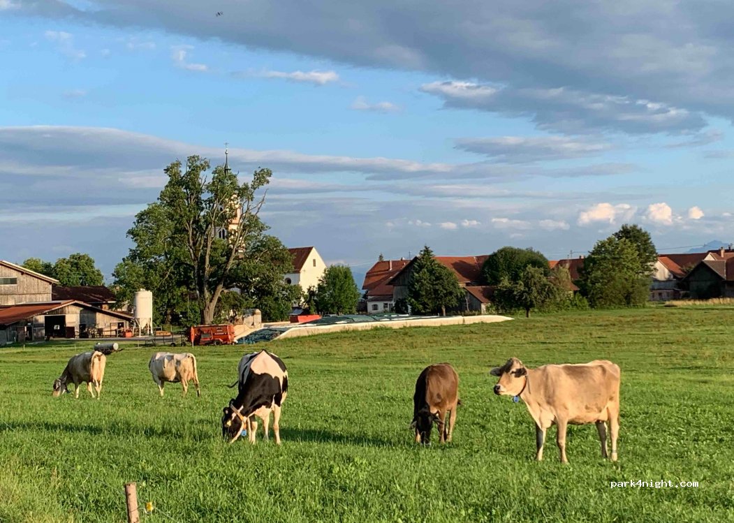 (87674) Apfeltrang - Wenglinger Straße 2 — foto 3