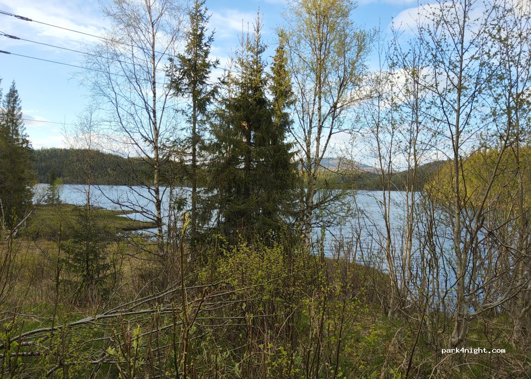 (7750)  - 1 Primær Fylkesveg 715 — foto 2