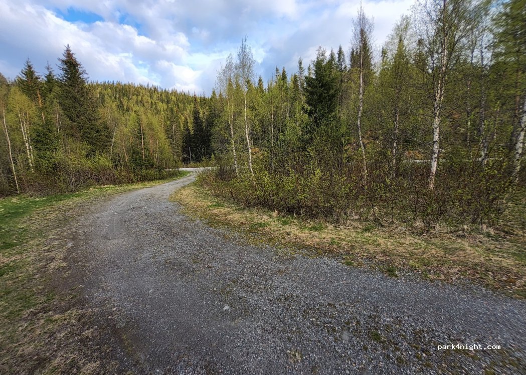(7750)  - 1 Primær Fylkesveg 715 — foto 3