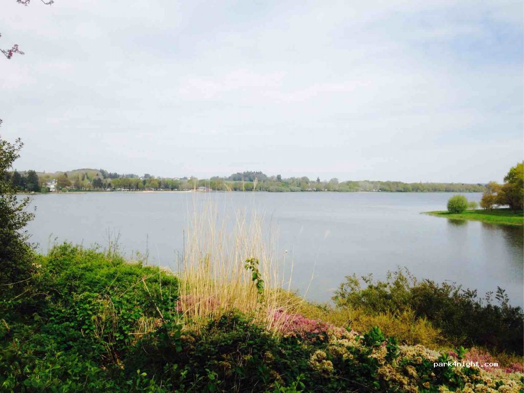 (56800) Taupont - Le Pardon — foto 3