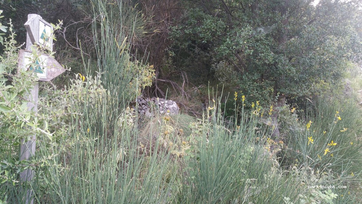 (23100) Municipality of Sparta - — foto 3