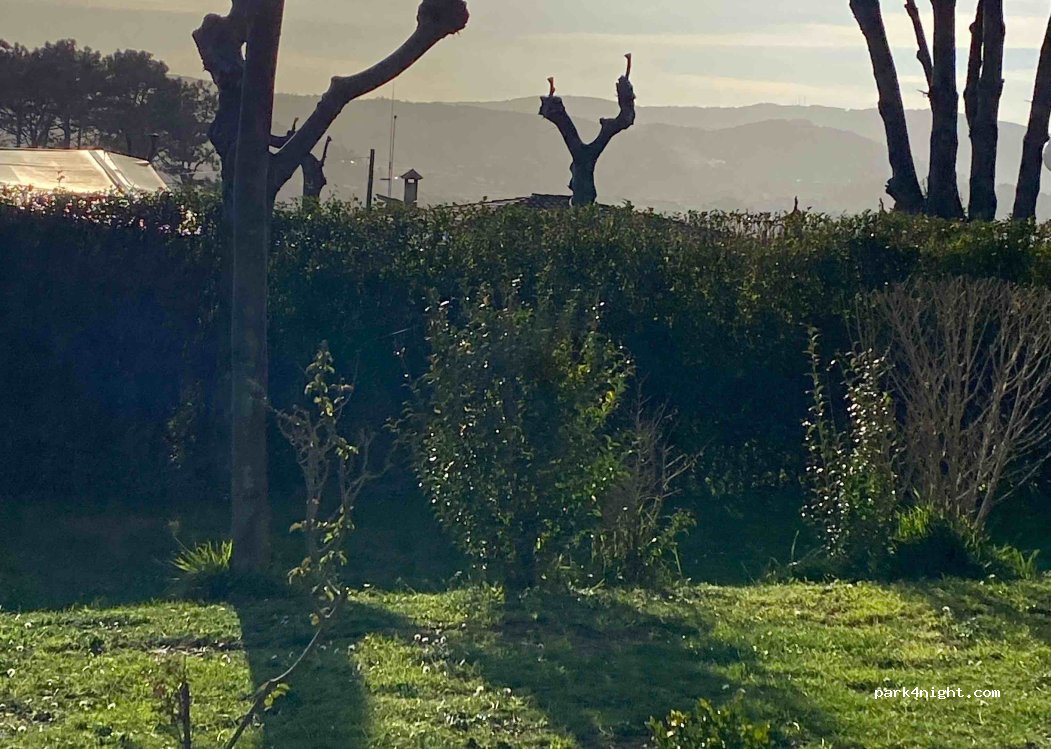 Camping As Nevedas — foto 5