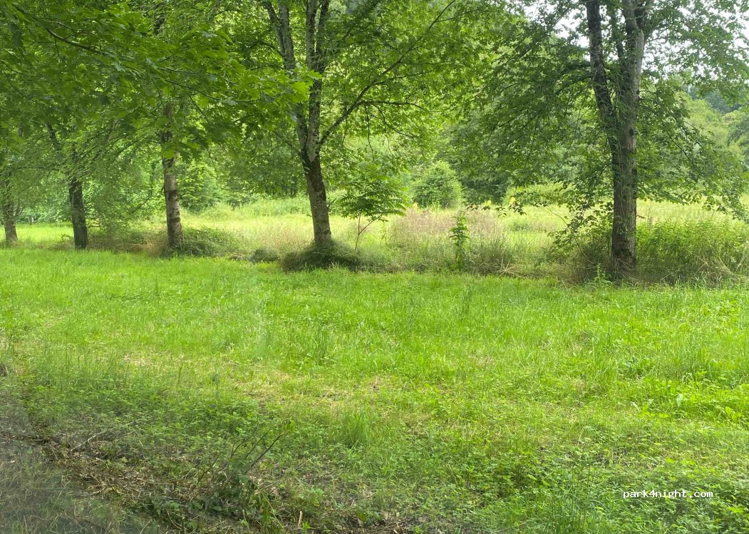 (64400) Oloron-Sainte-Marie - Chemin du Pont Noir — foto 4