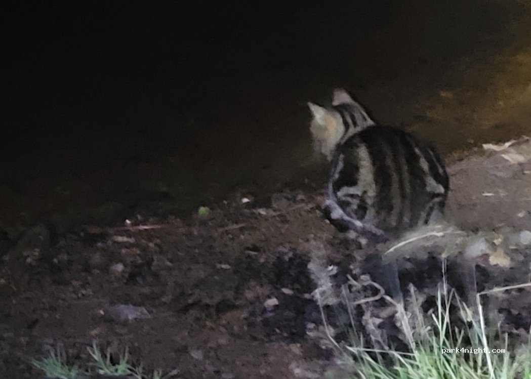 (432 77)  - 21 ÖSTRÖÖ — foto 4