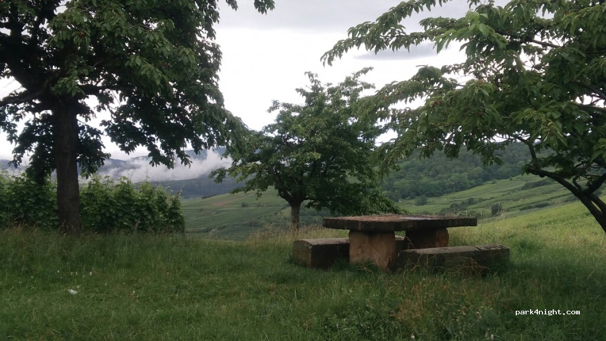 (68250) Westhalten - Unnamed Road — foto