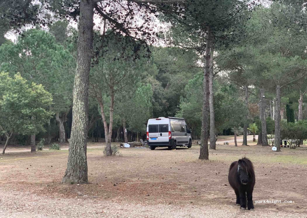 L’escale des Pins — foto 5