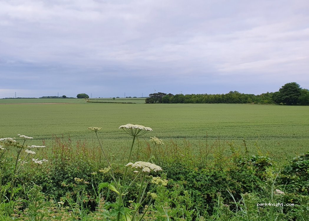 (DN37 7TT) Aylesby - Barton Street — foto 3