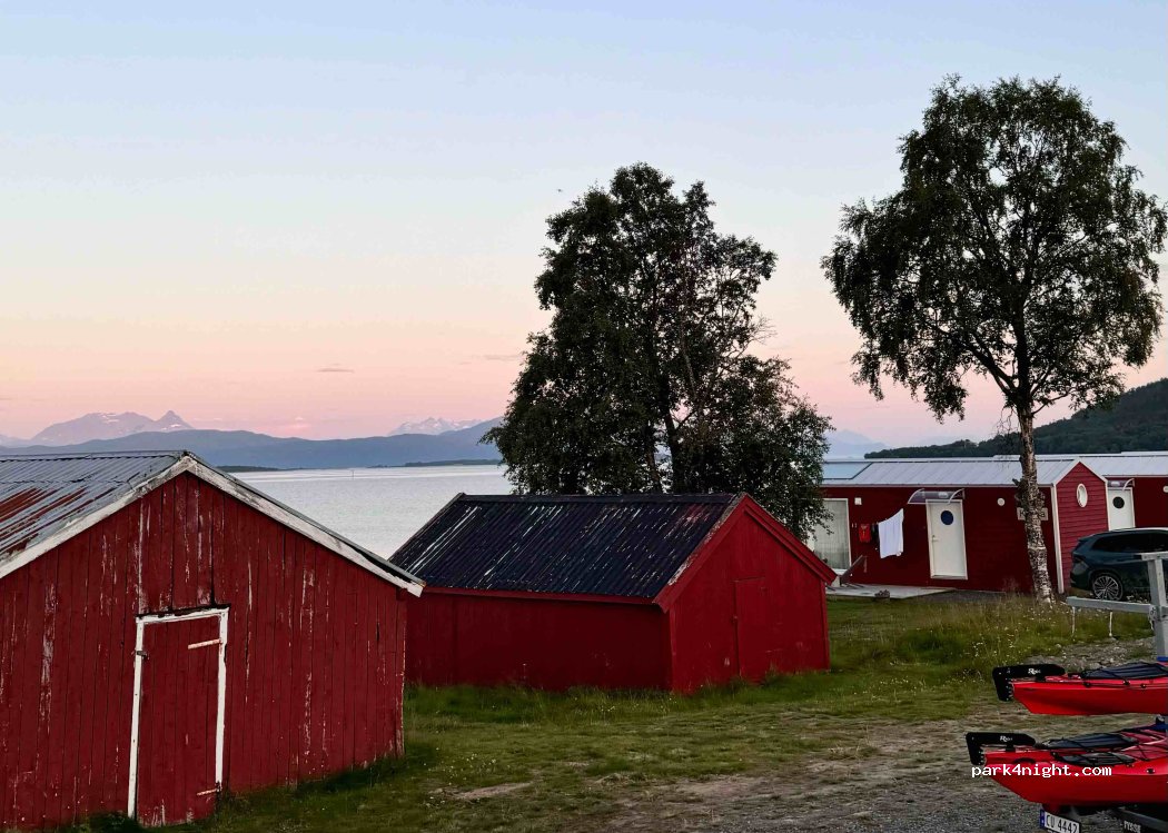 Norwegian Wild — foto 4