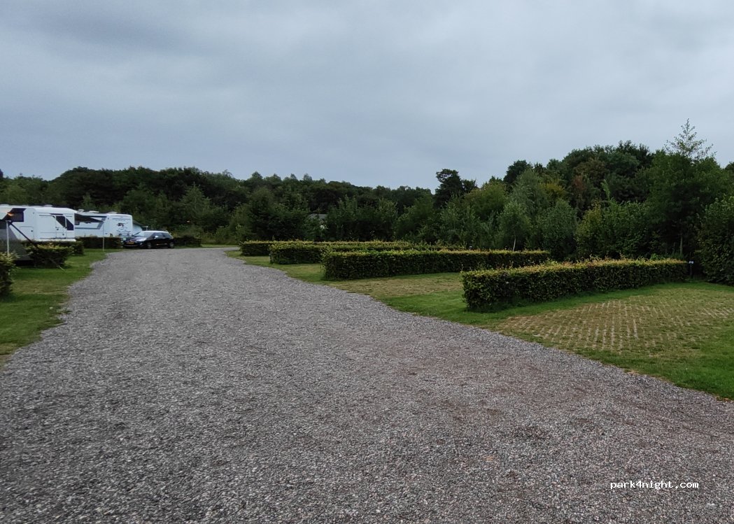 Camping 't Wisentbos — foto 5