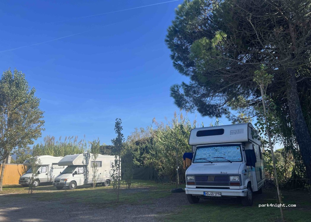 (55049) Viareggio - 9 Viale Europa — foto 5