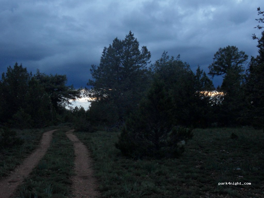 (42146) Cabrejas del Pinar - Carretera Cabrejas a Calatañazor — foto 2