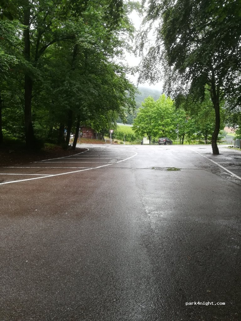 (39052) Caldaro - 38 Altenburger — foto