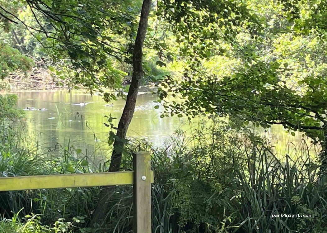 (22450) Langoat - 2 Route du Moulin de la Flèche — foto 4