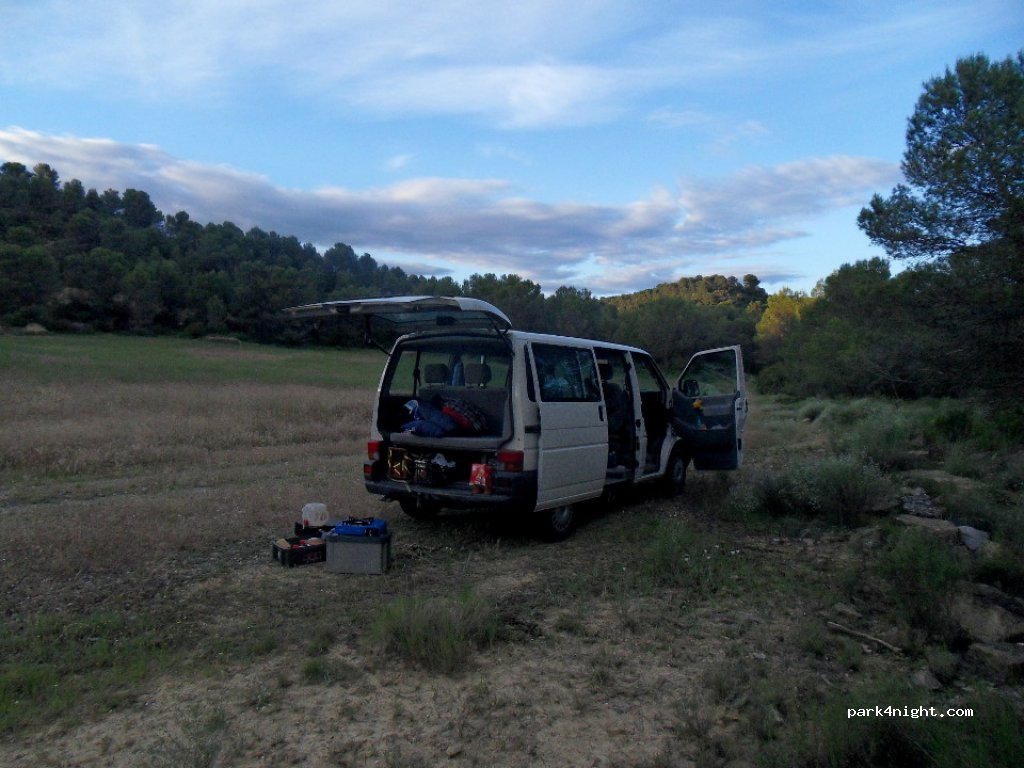 (50614) Ardisa - Camino Forestal — foto