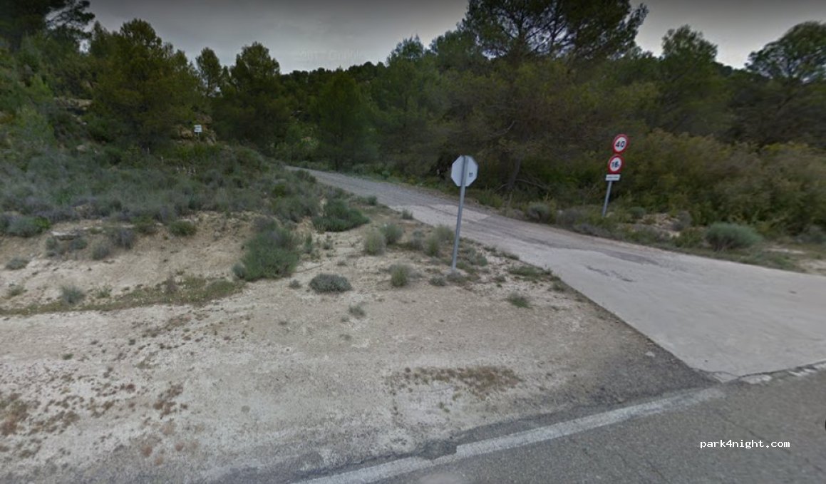 (50614) Ardisa - Camino Forestal — foto 3