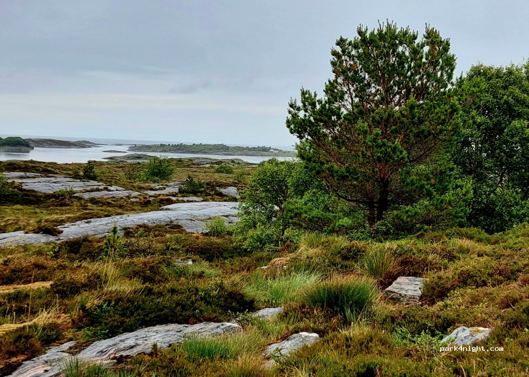 (6444)  - 98 Sekundær Fylkesveg 242 — foto 4