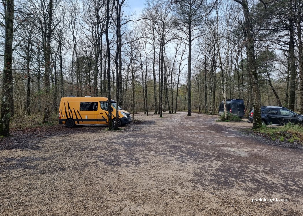 (45140) Bucy-Saint-Liphard - Etang de La Canaudière — foto 4