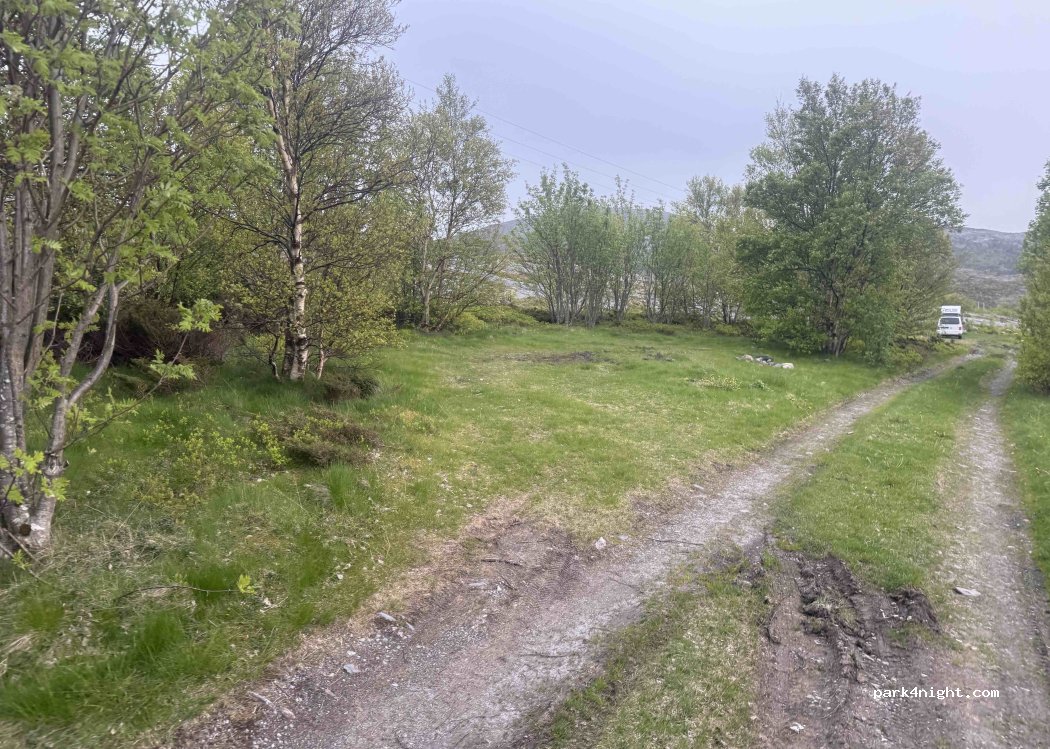 (7740) Breivika - 11 Primær Fylkesveg 715 — foto 5
