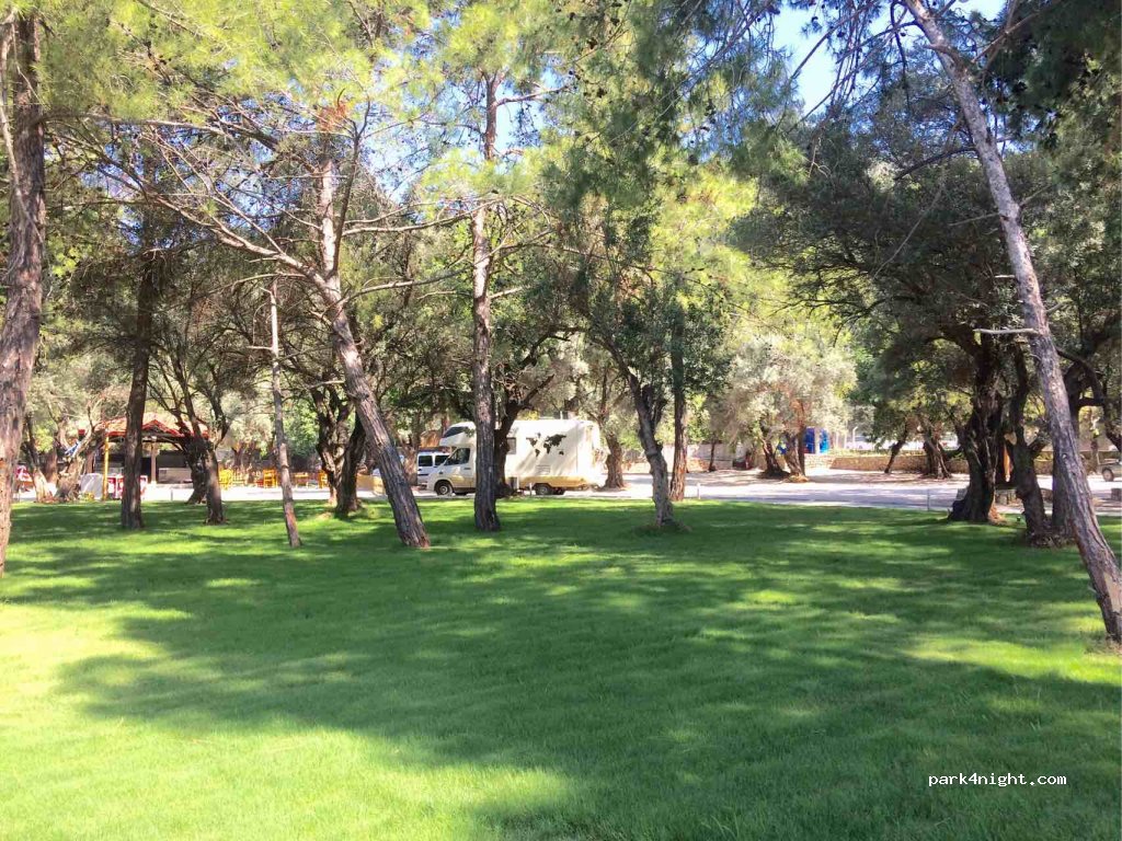 (48340) Fethiye - 2 Ölüdeniz Caddesi — foto 2