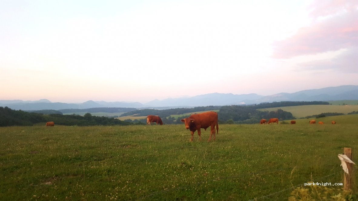 (013 18) Lietava - 2103 — foto 2