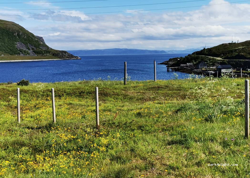 (9771) Skjånes - 77 Sekundær Fylkesveg 264 — foto 3