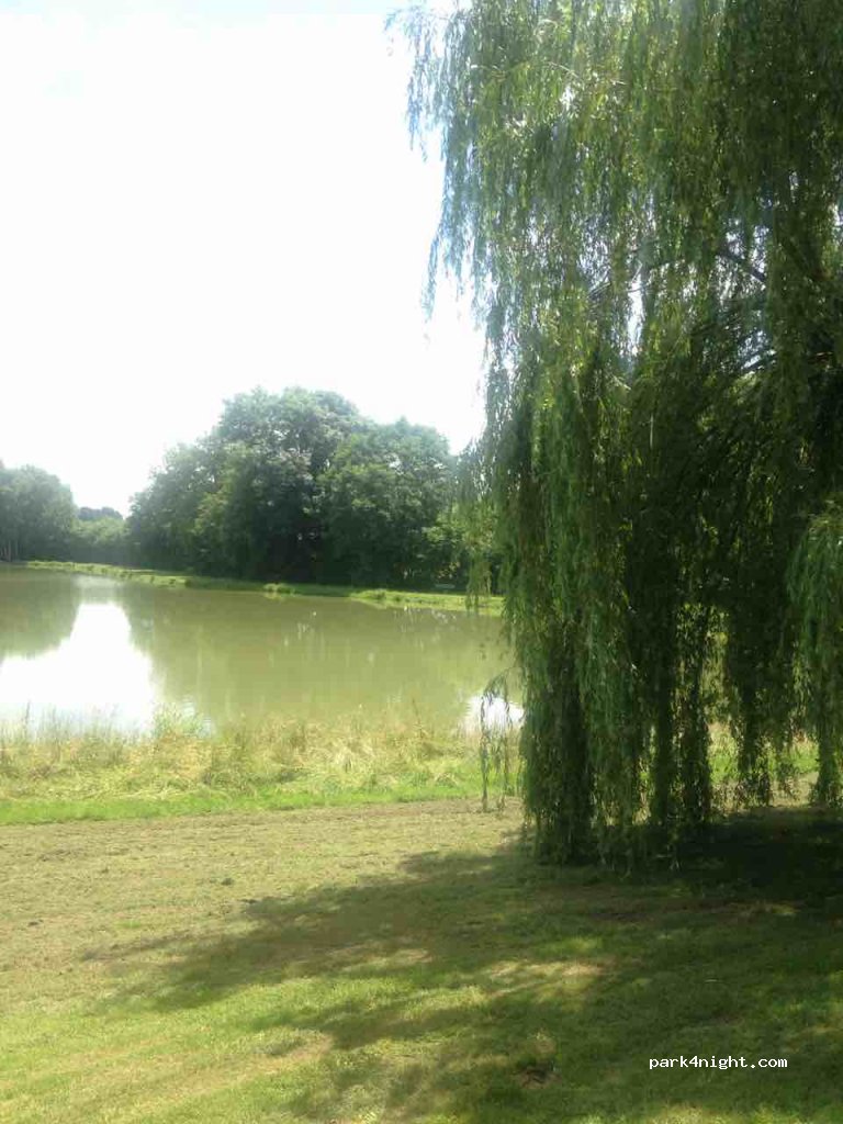 (53410) La Gravelle - 23 Rue de l'Oudon — foto 2
