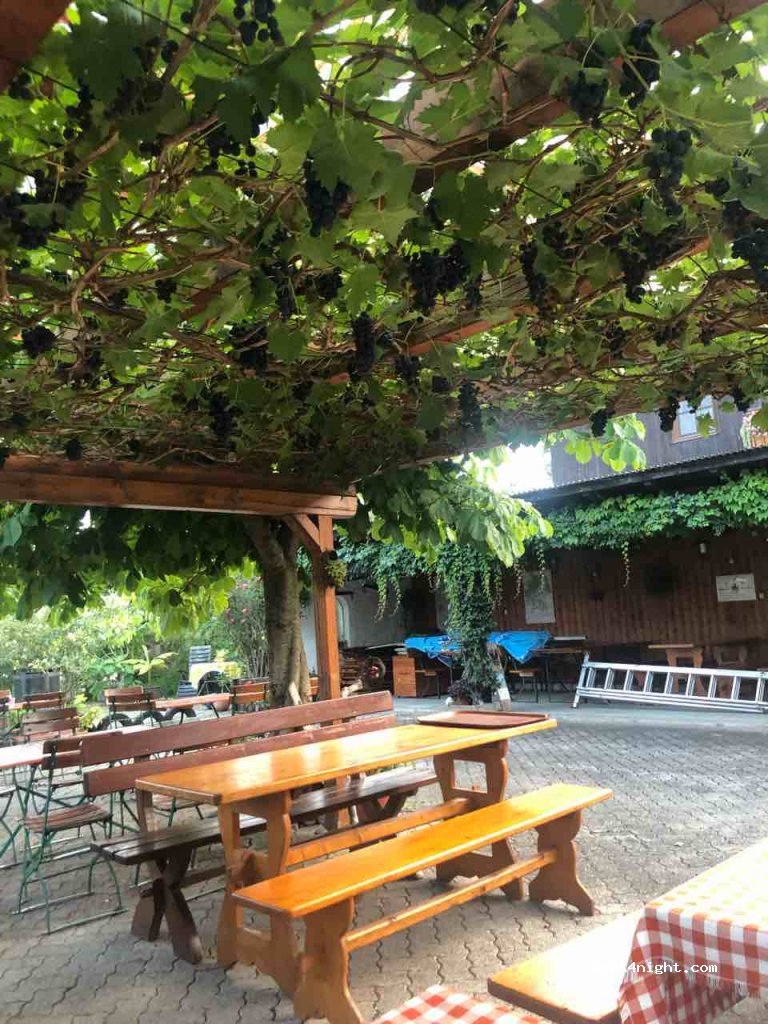 (84577) Tüßling - 401/3 Kiefering — foto 2