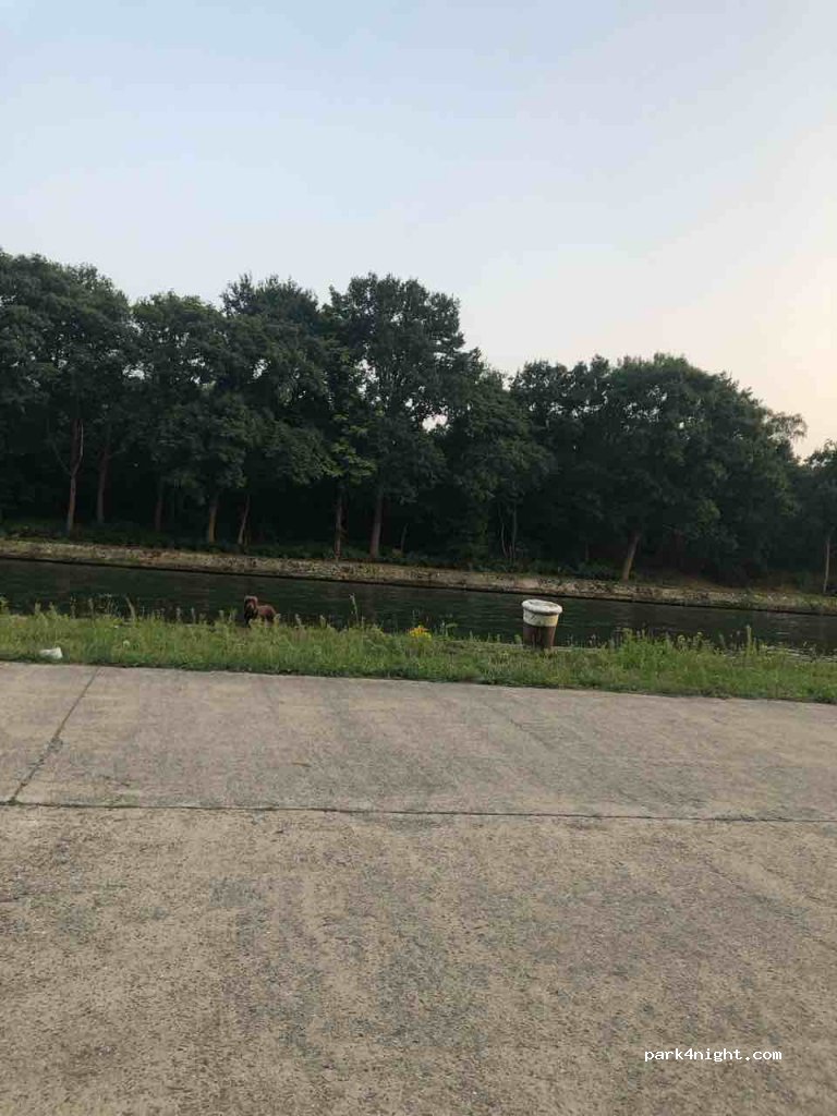(2480) Dessel - 1 Puttendijk — foto 2
