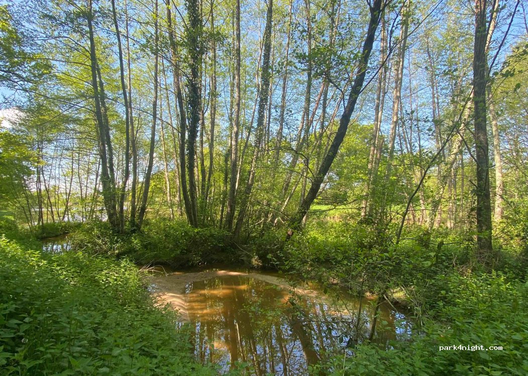 Camping Municipal de Lussac — foto 4