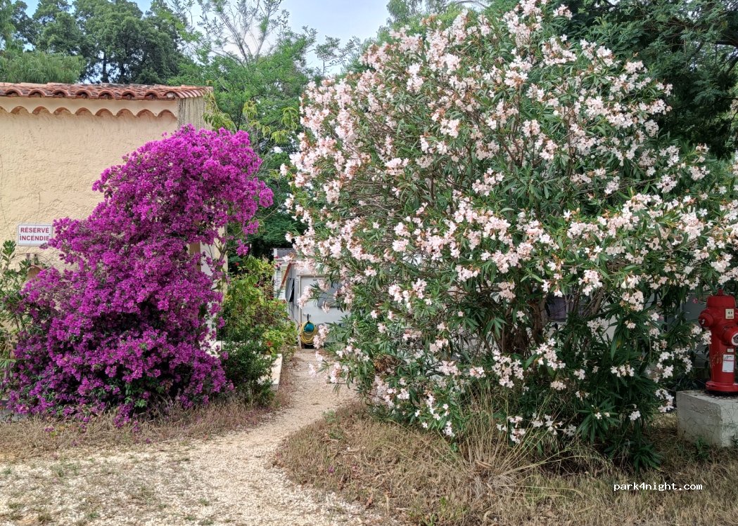 Camping Celinette — foto 3