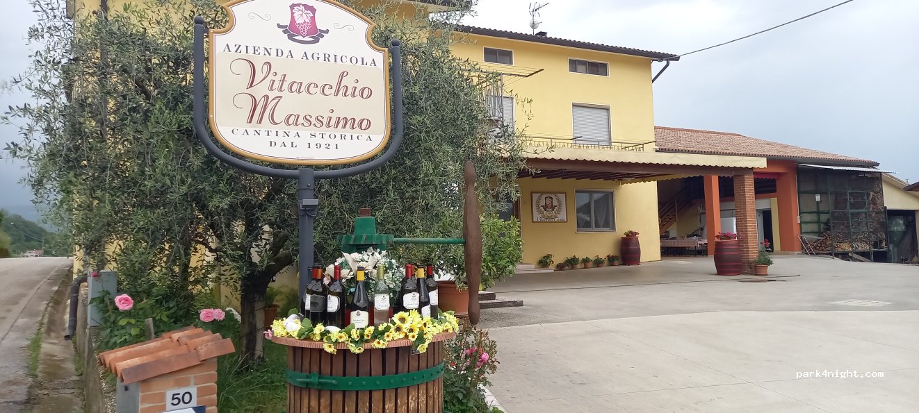 Azienda Agricola Vitacchio Massimo — foto