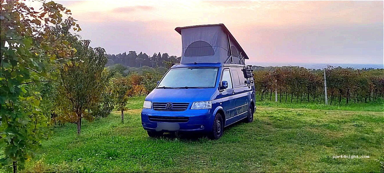 Azienda Agricola Vitacchio Massimo — foto 2