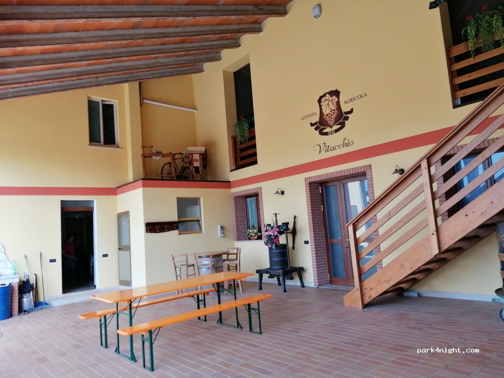 Azienda Agricola Vitacchio Massimo — foto 4