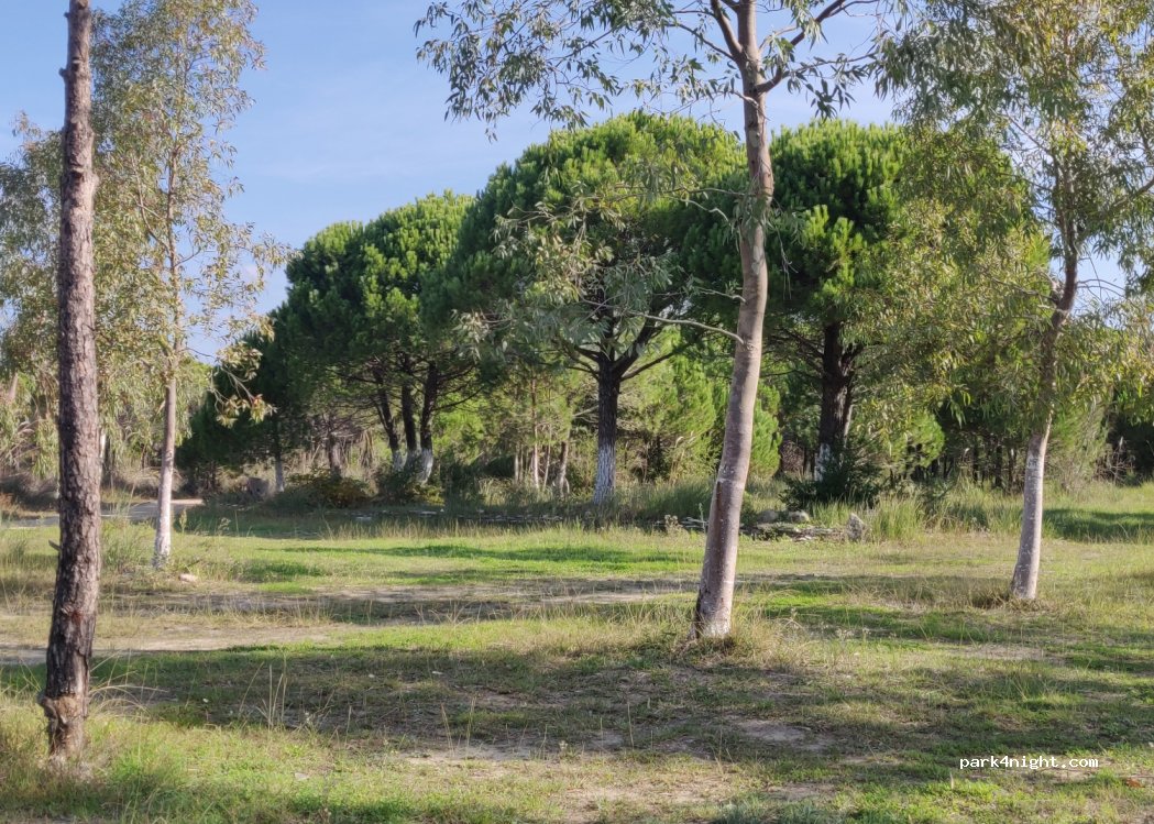 () Plazhi San Pietro - Rrethi Lalëzit — foto 4