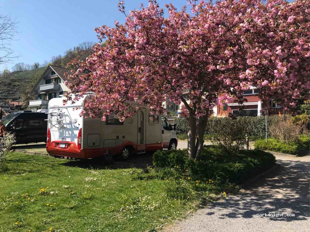 (8872) Weesen - Seepromenade — foto 2