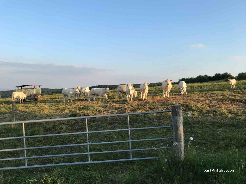 (97647) Hausen - Koppelhutweg — foto 2