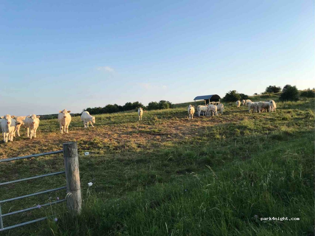 (97647) Hausen - Koppelhutweg — foto 3