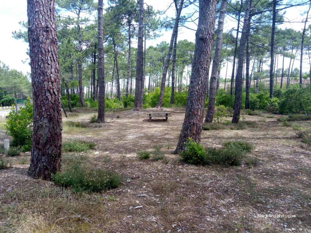 (33121) Carcans - D207 — foto