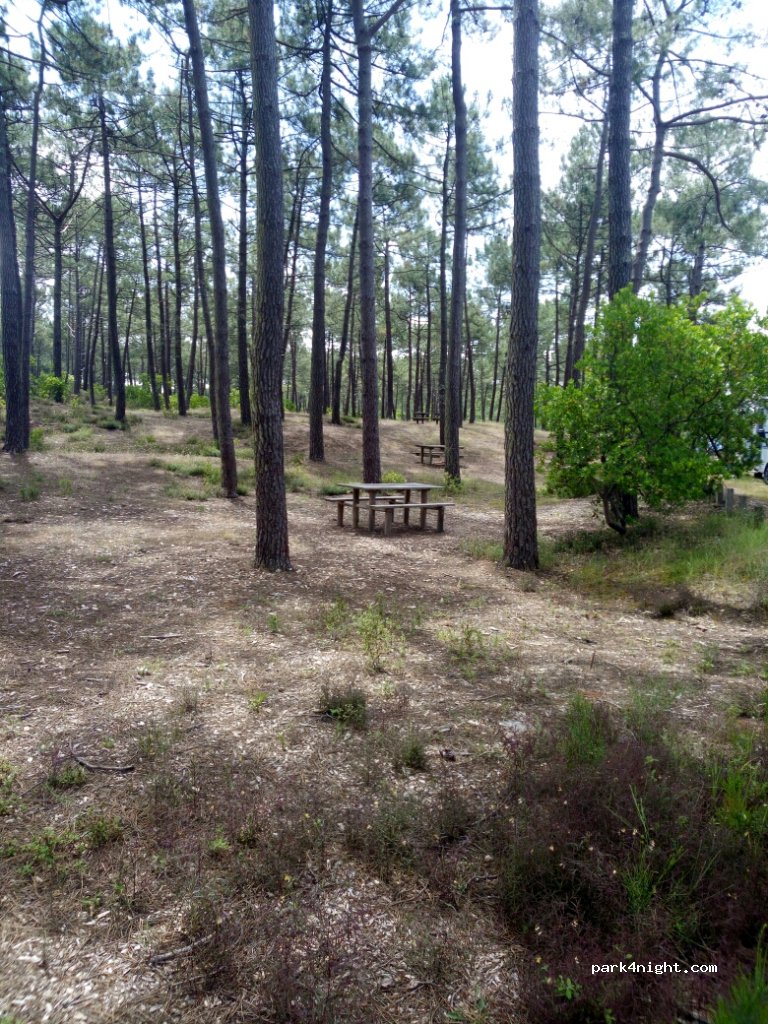 (33121) Carcans - D207 — foto 2