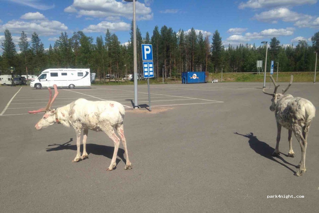 (98530) Rovaniemi - 2011 Pyhäntie — foto 4