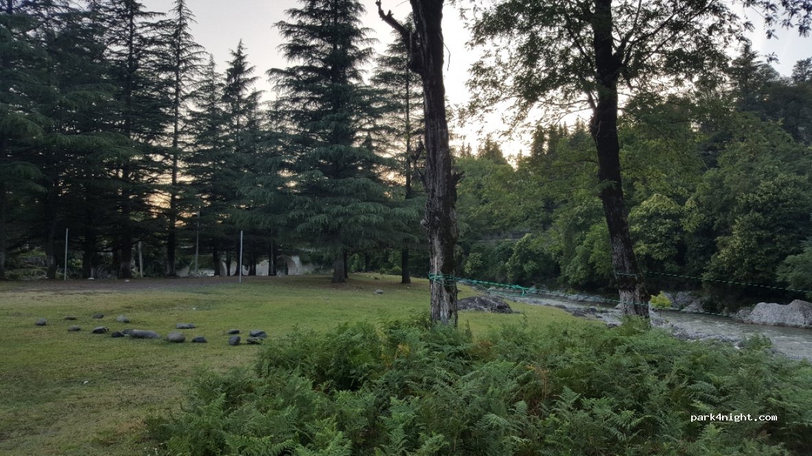 () Mukhuri - Mukhuri - Qokho - Lugela — foto 2