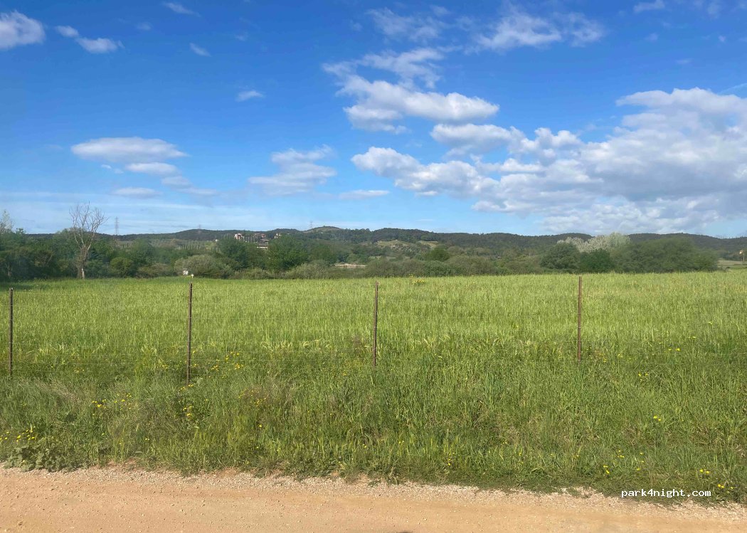 (58024) La Pesta - 2 Strada Provinciale Accesa — foto 4