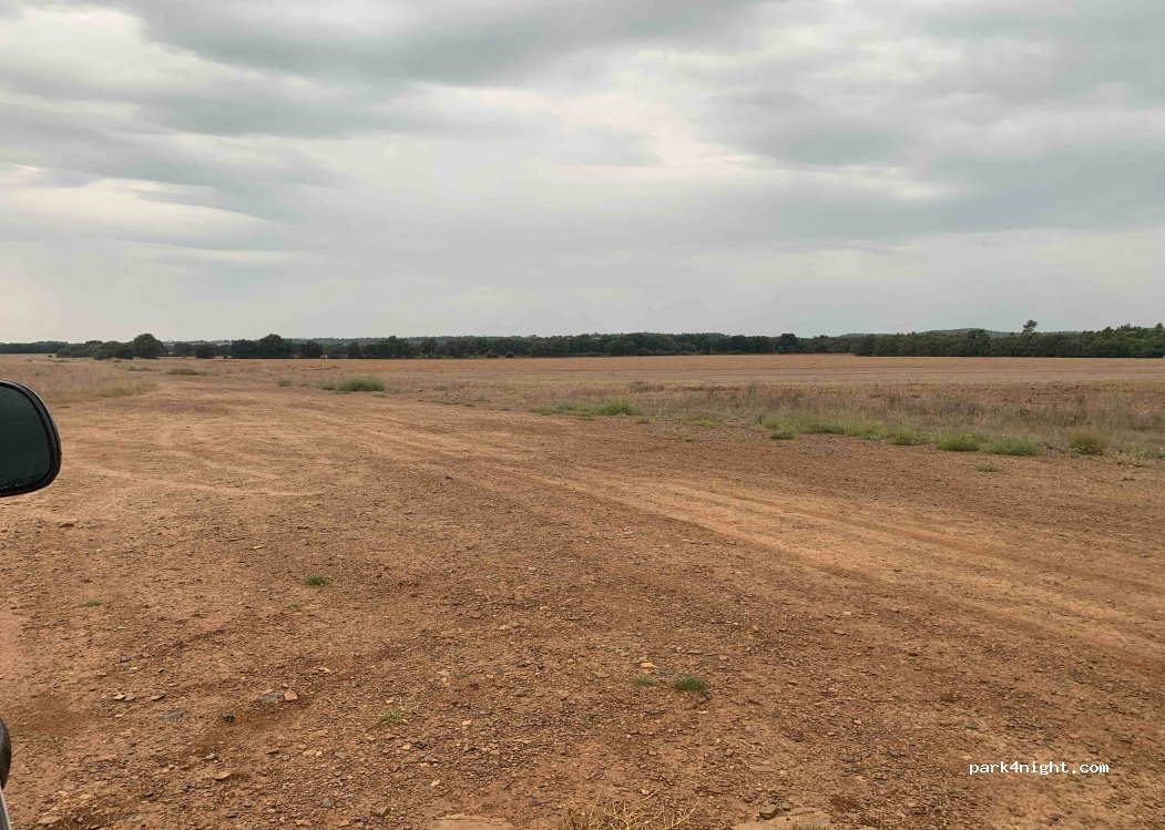 (08281) Sant Pere Sallavinera - Unnamed Road — foto 3