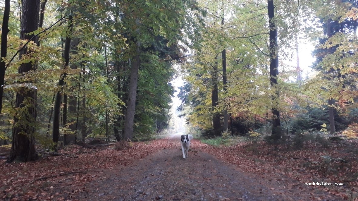 (71292) Friolzheim - Unnamed Road — foto 3