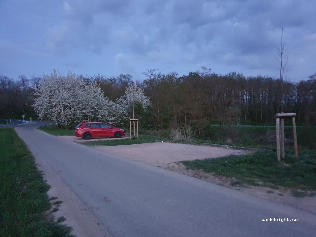 (55576) Sprendlingen - L415 — foto 2