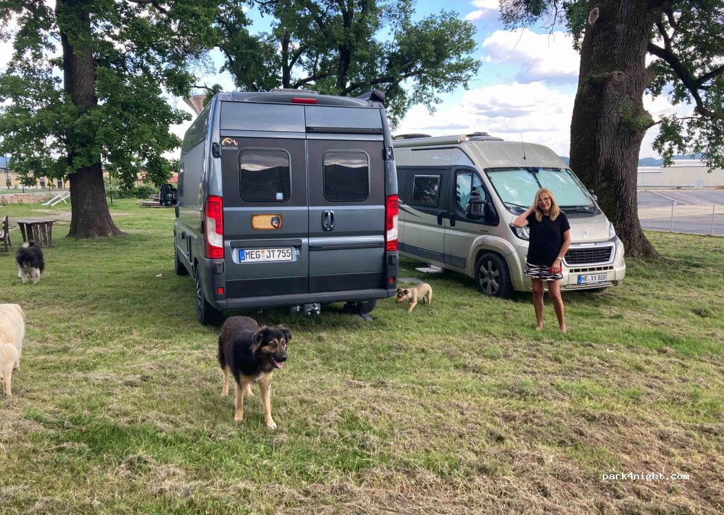 Trei Stejari — foto 3