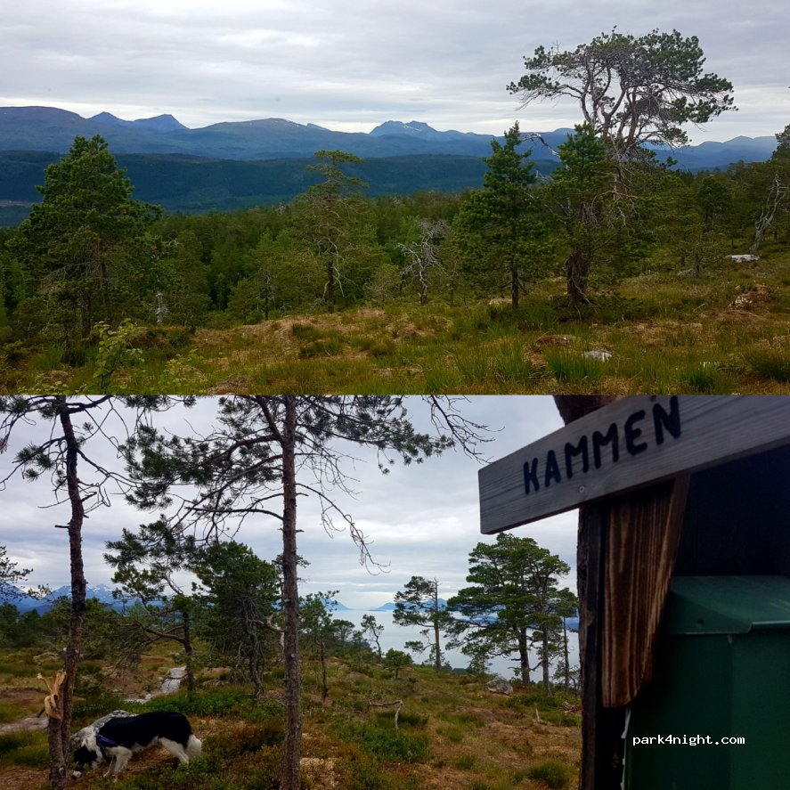 (6456)  - 20 Primær Fylkesveg 64 — foto